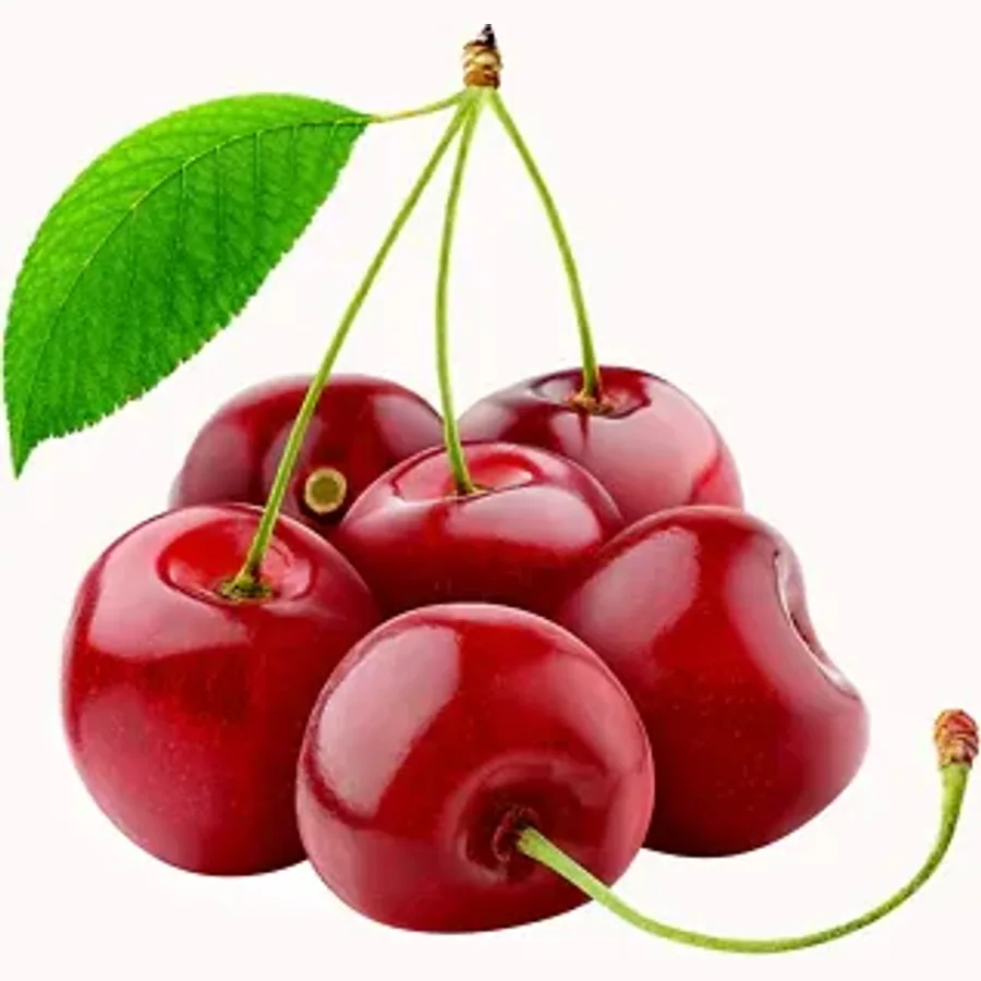 Sentennial Cherry From Canada