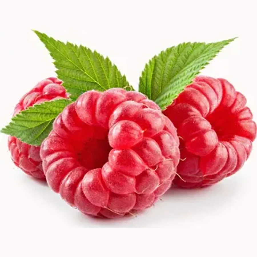 Raspberry from Netherlands